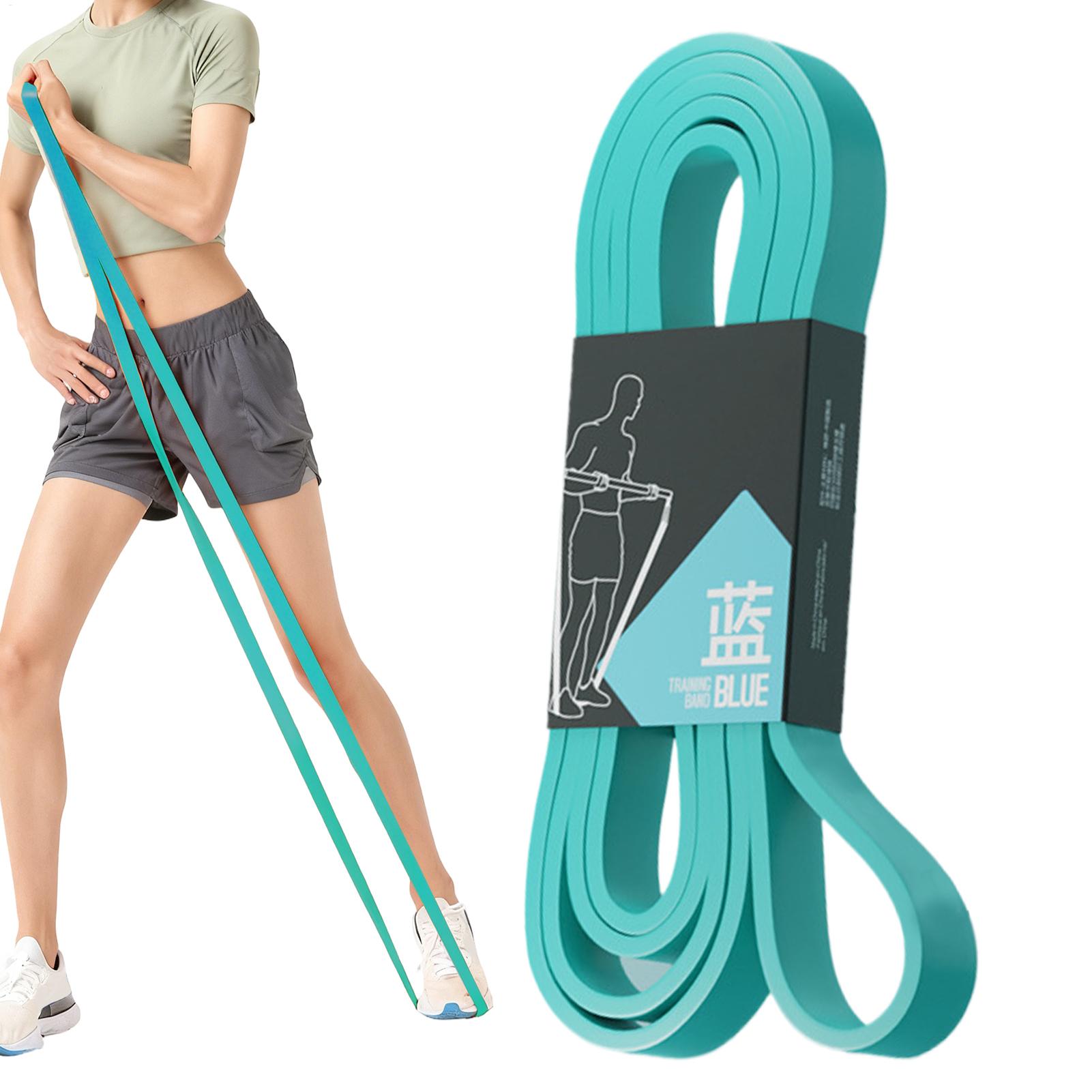 Workout Resistance Bands Elast - огляд і ціна Milanaise Mesh Band