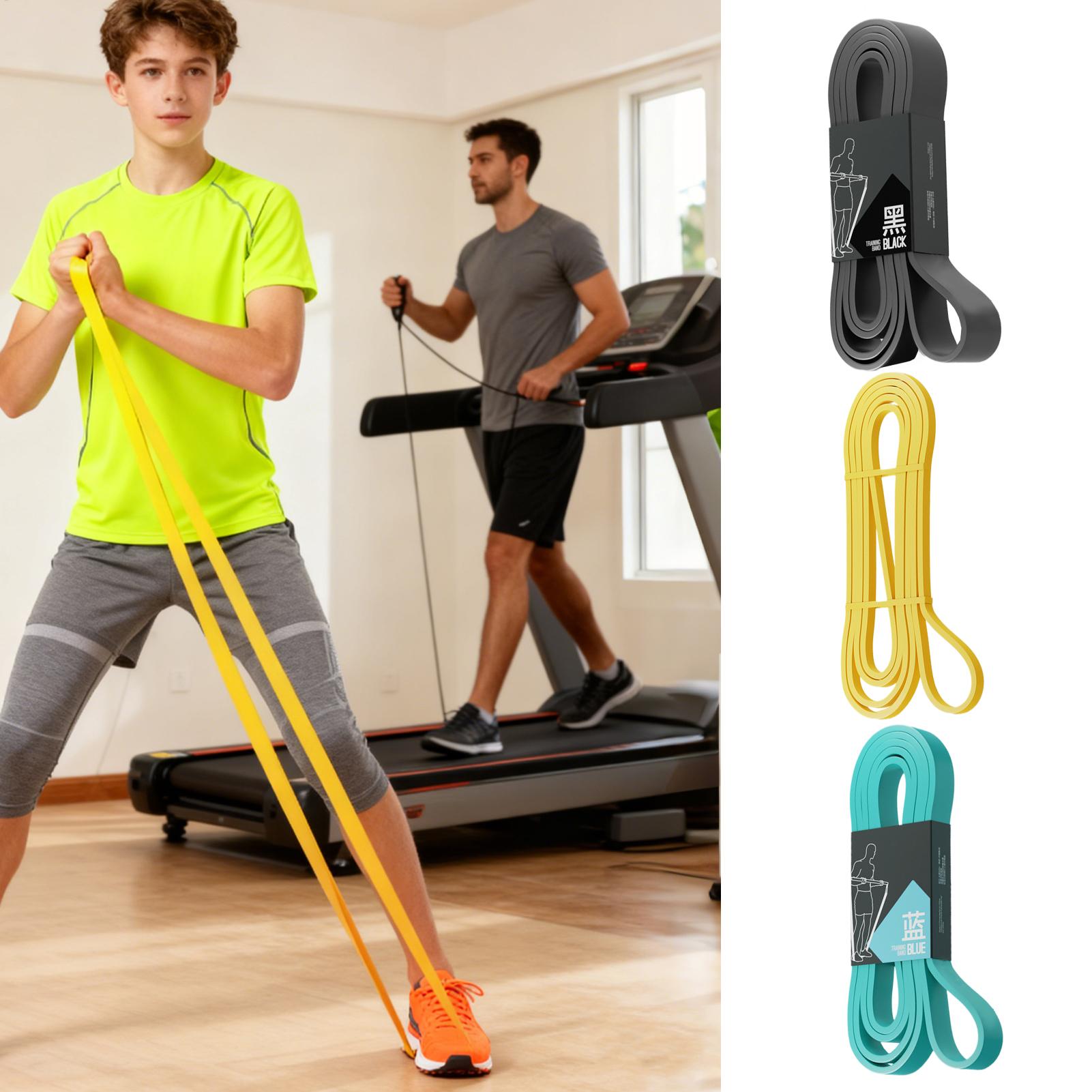 Workout Resistance Bands Elast - огляд і ціна Milanaise Mesh Band